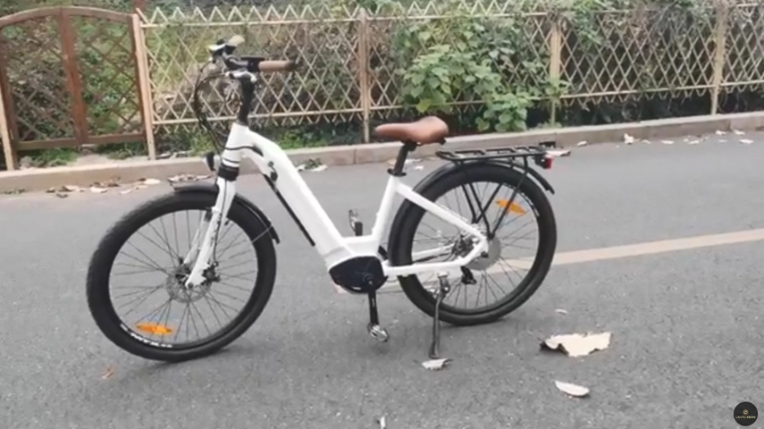 Pendler Ebike