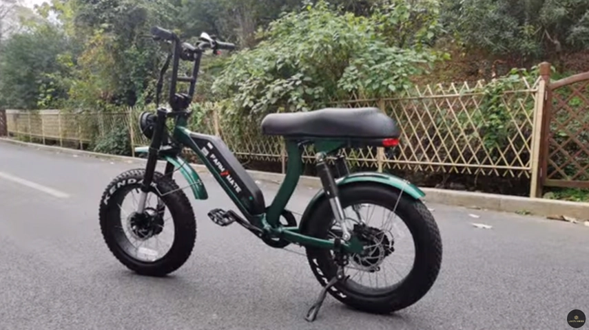 Dual Motors Fett Reifen Elektro fahrrad