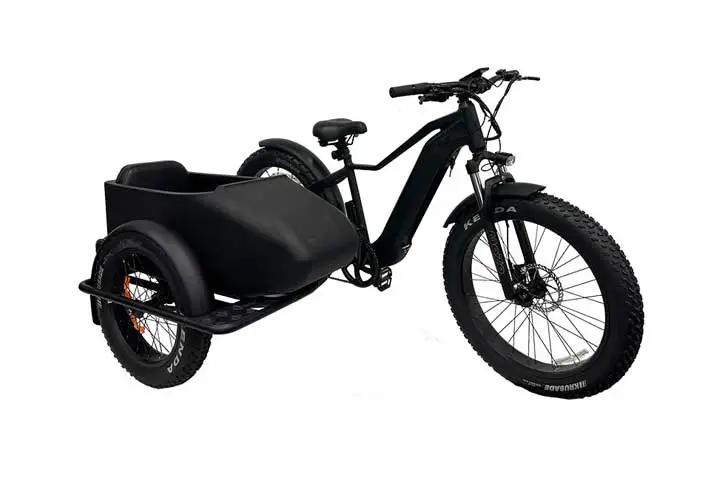 Elektro fahrrad Beiwagen