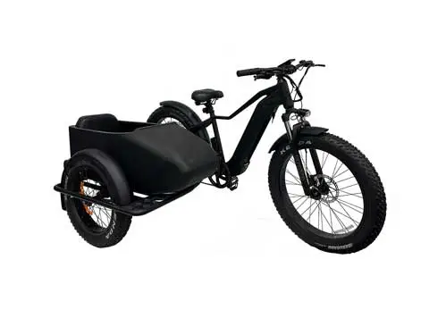 Elektro fahrrad mit Beiwagen