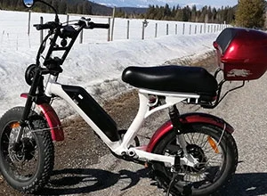 Wie funktionieren Dual-Motor-E-Bikes?