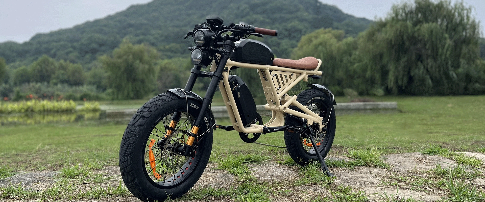 Moped Style E Bike