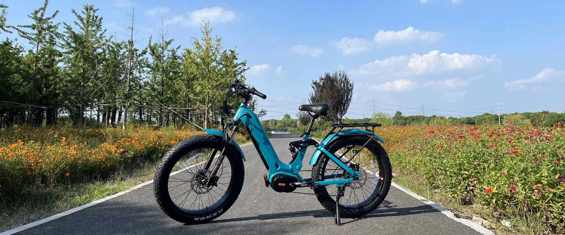 Mid Drive Step Through Ebike