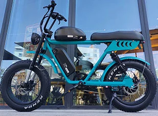 Eroben Sie jedes Gelände mit Dual Battery Fat Tire Electric Bikes