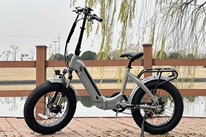 Lohnt es sich, ein Lantu Ebike zu haben?