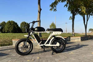 Wie wählt man ein Elektro fahrrad?