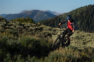 Reichweite und Geschwindigkeit von elektrischen Mountainbikes: Den Charme der Natur entfesseln